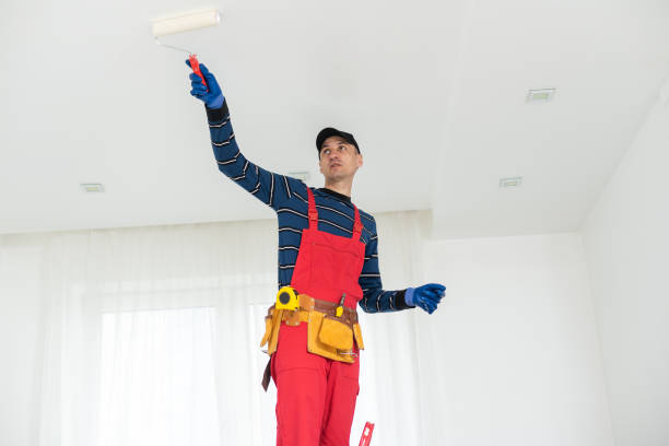  , MO Painting & Drywall Services Pros